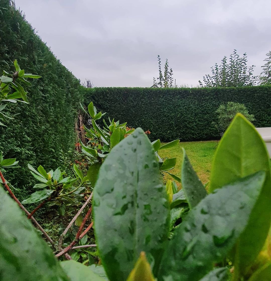 Gartengestaltung - Avni Begisholli